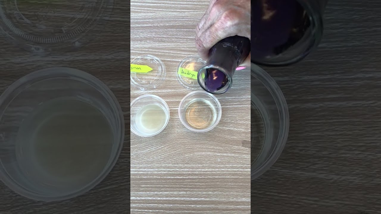 Cabbage Water Acids and Bases Test