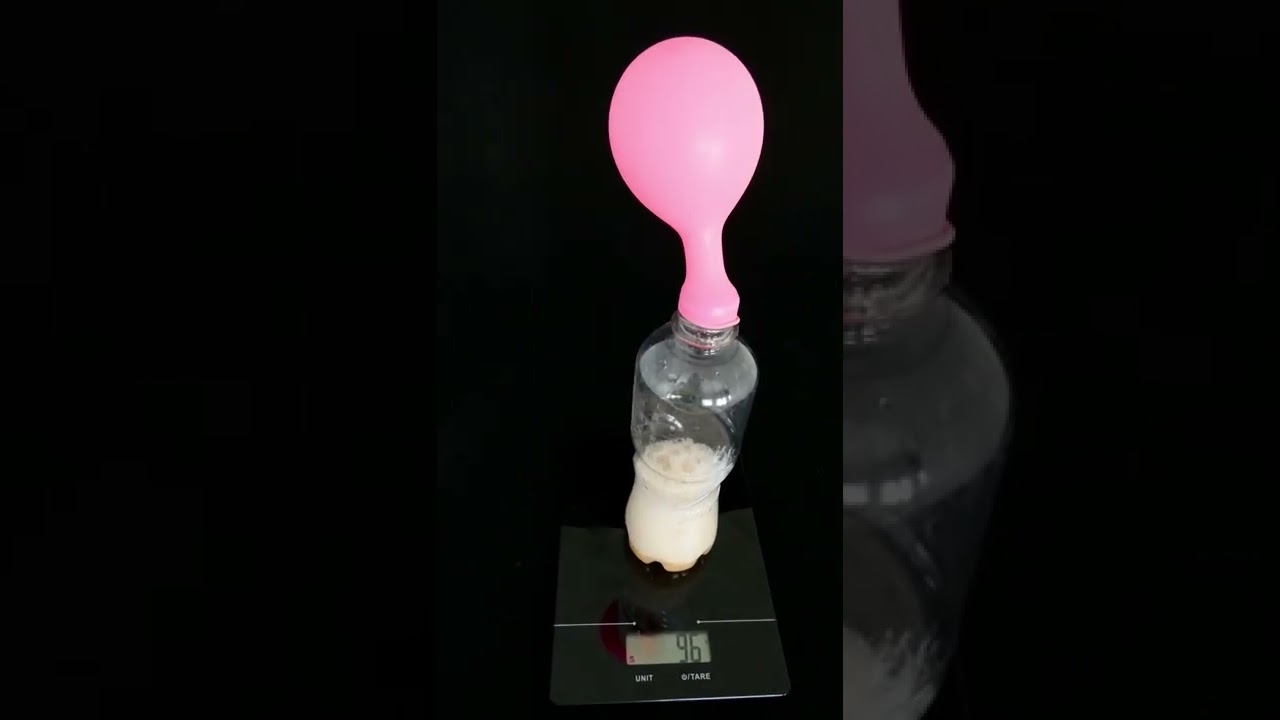 Conservation of Mass Experiment