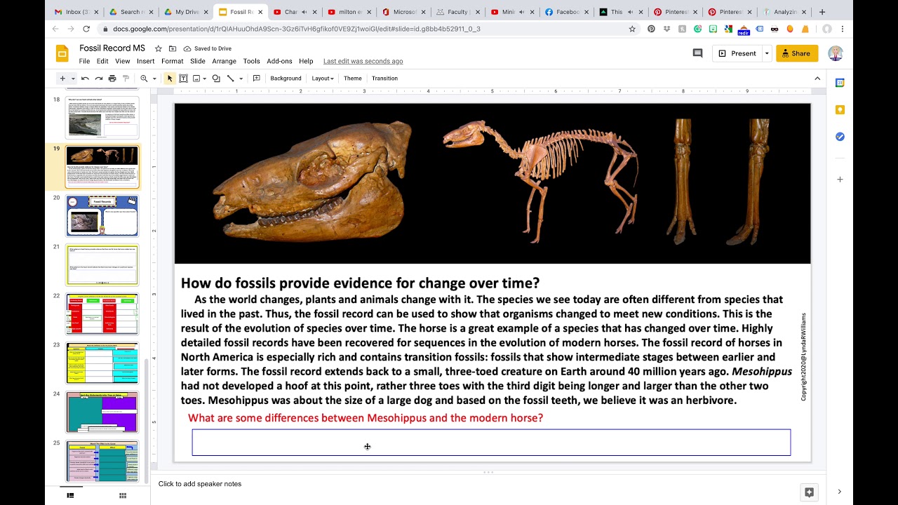 Analyzing the Fossil Record NGSS MS-LS4-1