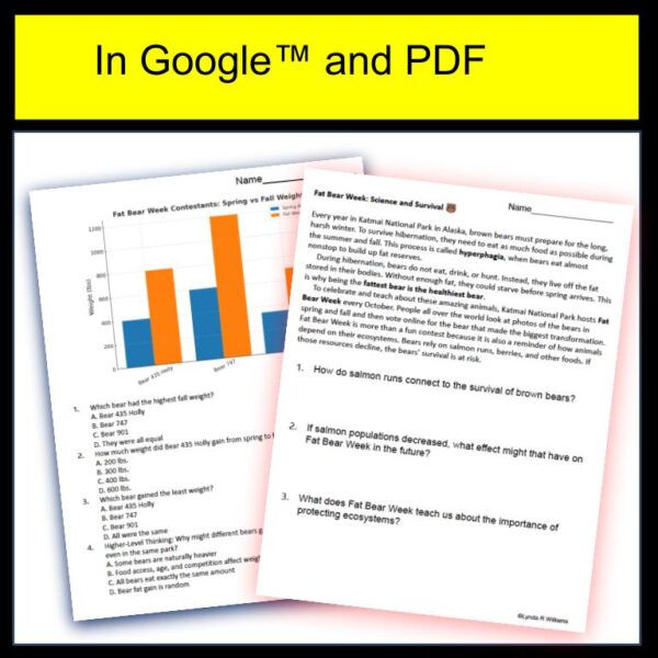 Fat Bear Week Data and Graph Analysis & CER Adaptations Hibernation - Image 2