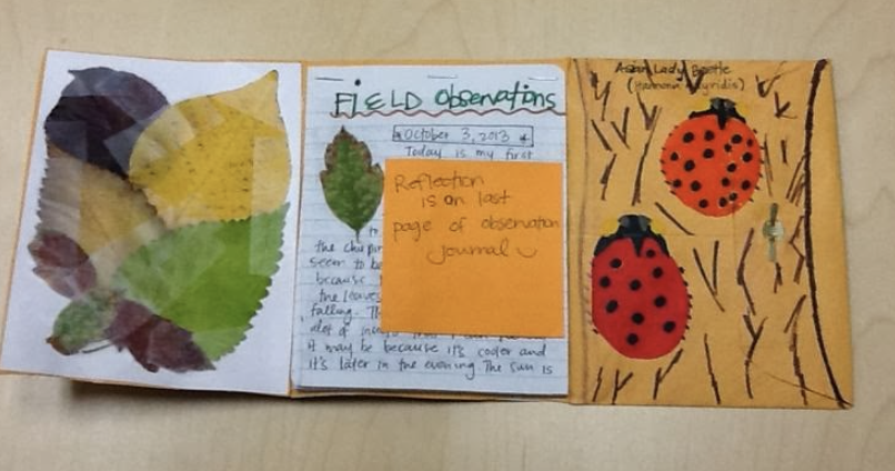 nature journal