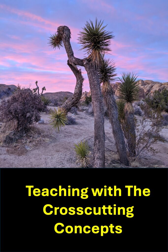 crosscutting concepts