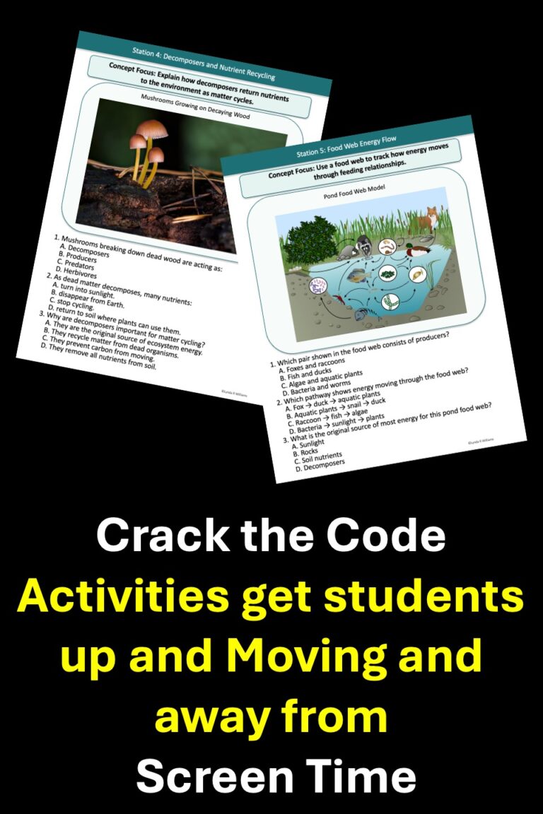 crack the code