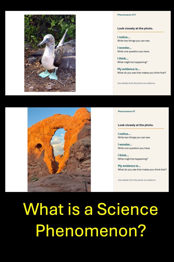 What. are science phenomena?