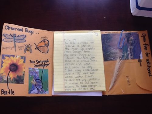 field journal